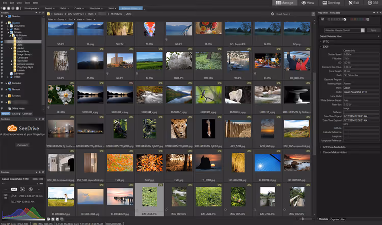 Інтерфейс ACDSee Photo Studio Ultimate з панелями каталогізації та редагування