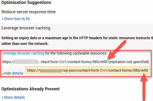 Erro de recarga do Contact Form 7 no relatório do PageSpeed Insights
