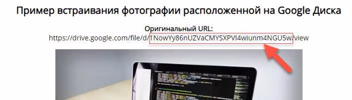 ID da imagem no link do Google Drive destacado com um retângulo vermelho