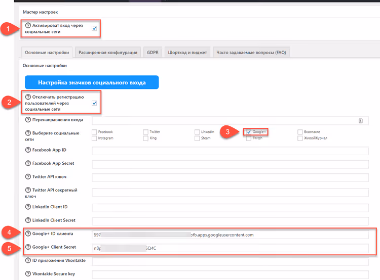 Ausfüllen der Client-ID- und Client-Secret-Felder für die Google-Autorisierung in Super Socializer