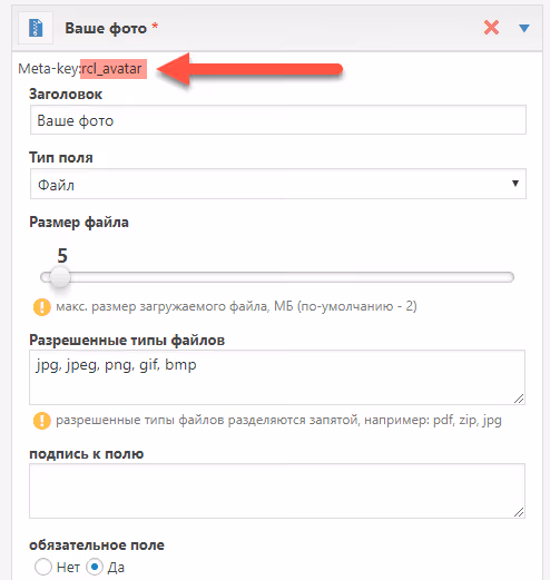 Configurazione del meta campo rcl_avatar nel generatore del modulo di registrazione