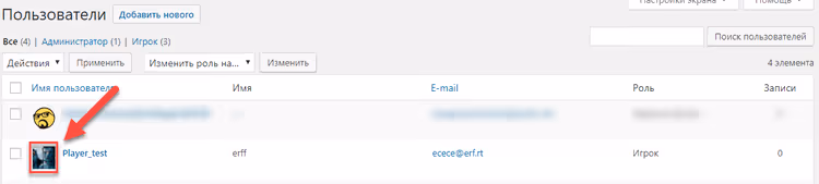 Foto dalla registrazione applicata al profilo WordPress
