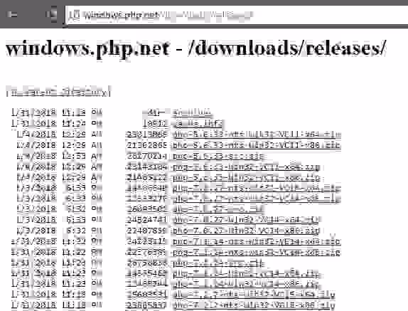 Папка с версиями PHP внутри директории Laragon