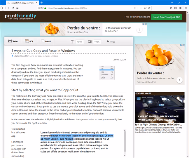 Preview of a cleaned page on PrintFriendly before printing