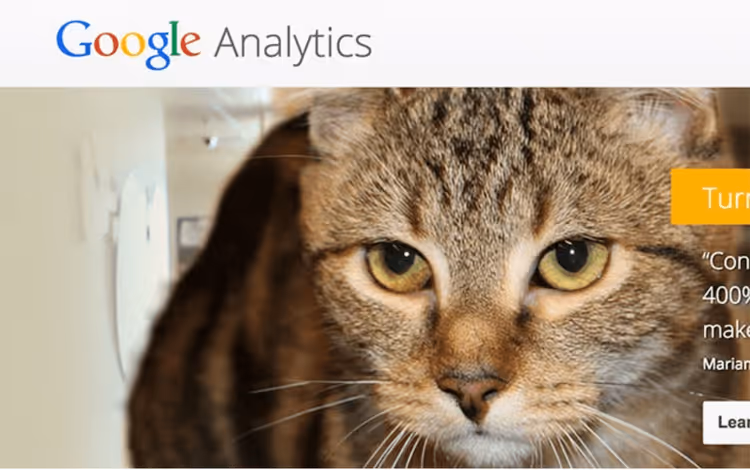 Catalytics replaces visitor avatars in Google Analytics with grumpy cats