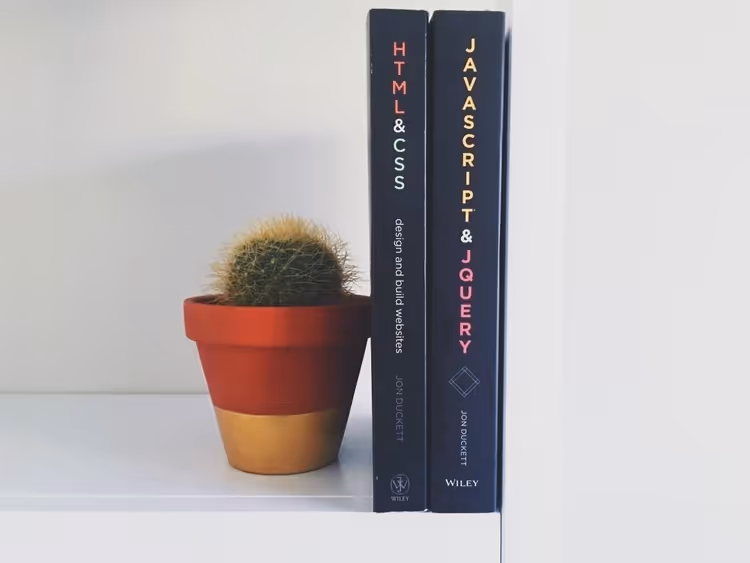 🔌 Loading jQuery in WordPress: the right way