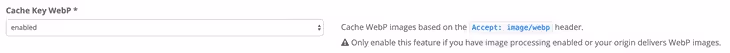 Option de clé de cache WebP dans le panneau KeyCDN