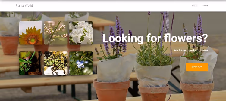 En-sides butikk på Hestia-tema med WooCommerce-integrasjon