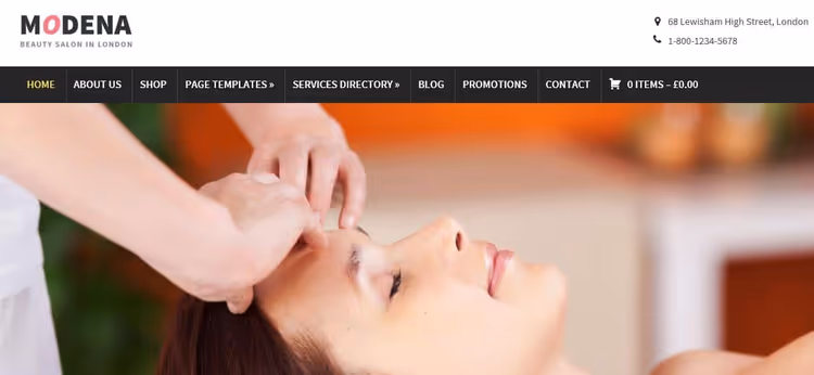 OceanWP, free theme with ready spa template and customizer