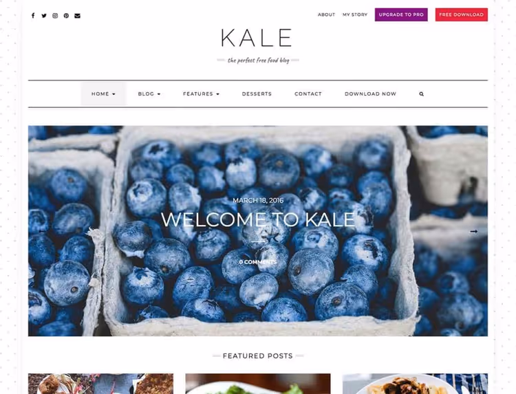 Kale, magazine theme with WooCommerce support