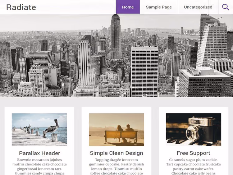 Radiate, theme with large header image and widgets