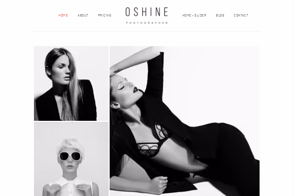 Demo V17 del tema Oshine para fotógrafos