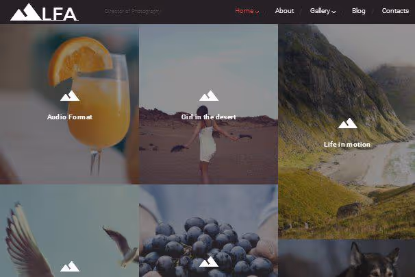 Diseño corporativo para fotógrafos del tema LFA