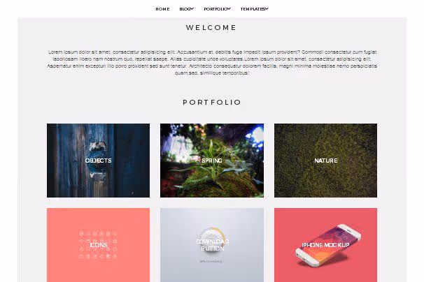 Diseño minimalista del tema True North