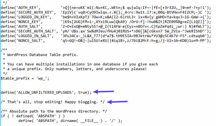 Insertion du code ALLOW_UNFILTERED_UPLOADS dans le fichier wp-config.php