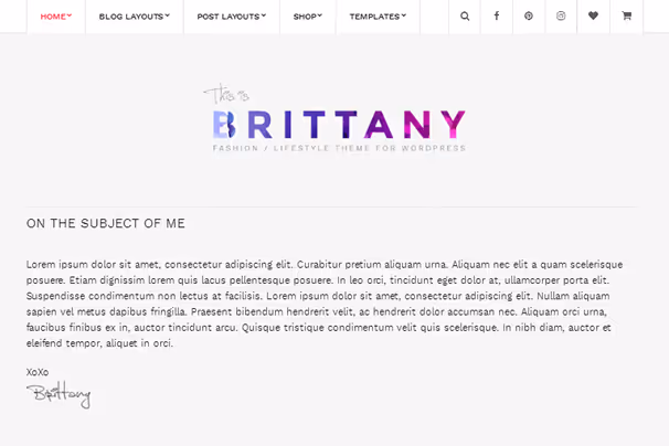 Brittany-tema med stort bilde og forfatterblokk