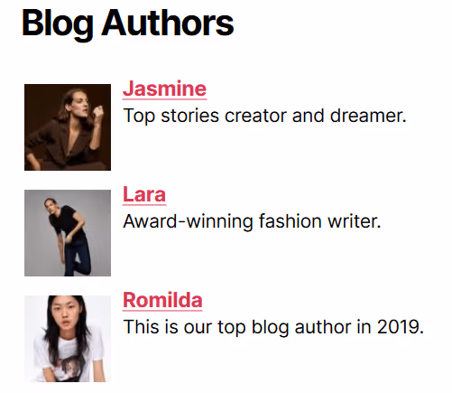 Example of author avatar display in standard WordPress theme