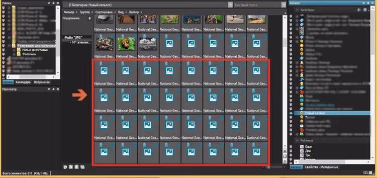 ACDSee-Browser mit Standard-Platzhalterminiaturen vor der Verarbeitung