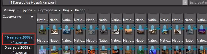 Ergebnis der Gruppierung von Fotos nach Erstellungsdatum in ACDSee