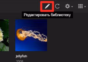 Botão de editar biblioteca existente no Plex