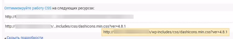PageSpeed Insightsi raport hoiatusega kasutamata dashicons CSS-i kohta