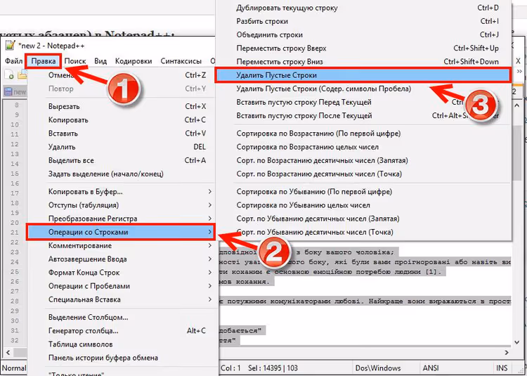 Menu Editar, Operações de Linha, Remover Linhas em Branco no Notepad++