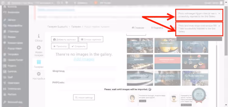 Notifiche di immagini aggiunte nella scheda principale della galleria