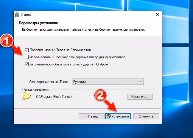 iTunes installation options selection window
