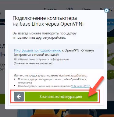 Botón de descarga de configuración OpenVPN