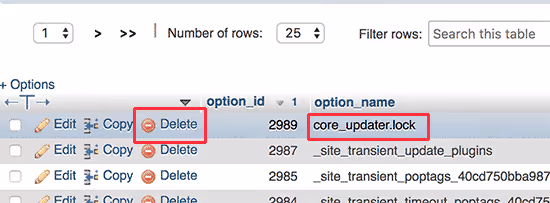 Eliminando la fila core_updater.lock de la tabla wp_options