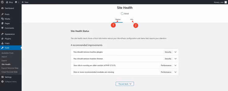 WordPressi saidi tervise vidin hinnangu ja parendussoovitustega