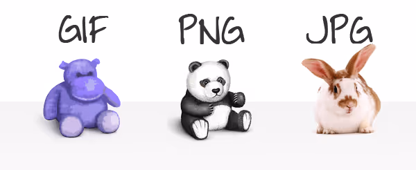 Vergleich der Bildformate JPEG und PNG