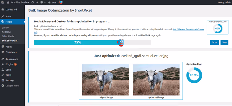 Oberfläche des ShortPixel-Plugins zur Bildkomprimierung