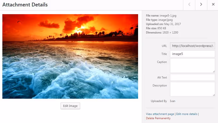 WordPress image details editing window