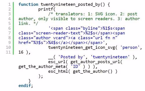Code of author output function in WordPress theme
