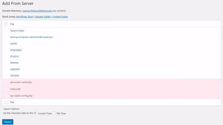 Importing files to WordPress media library via Add From Server plugin