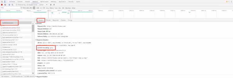 En-tête Content-Encoding gzip dans Chrome DevTools