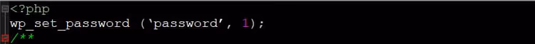 Codice wp_set_password nel file functions.php del tema WordPress