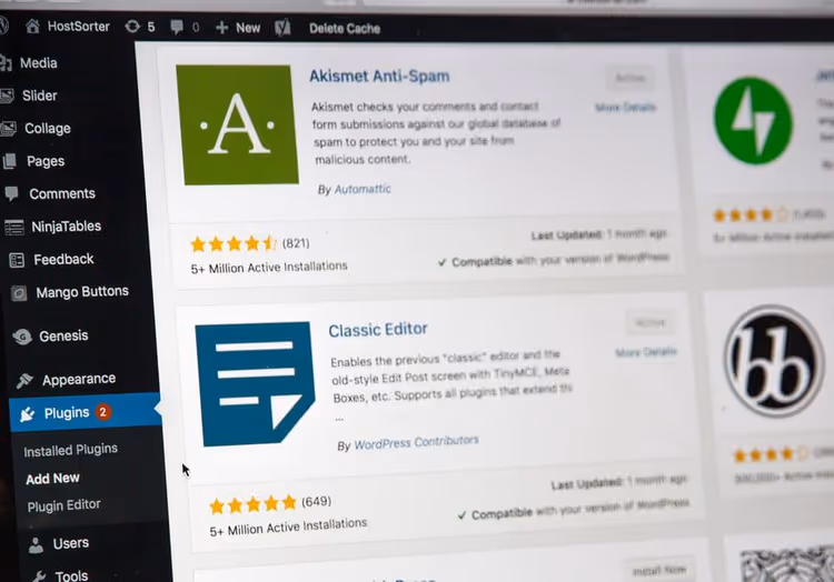 Editing code in the WordPress theme functions.php file