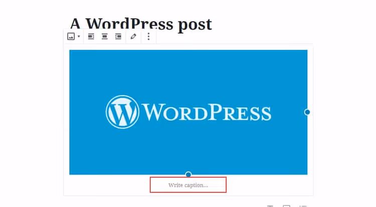 Caption field below an image in the Gutenberg editor