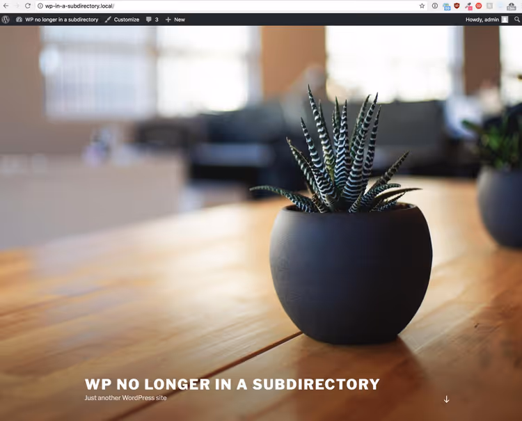 Site successfully working after moving to root