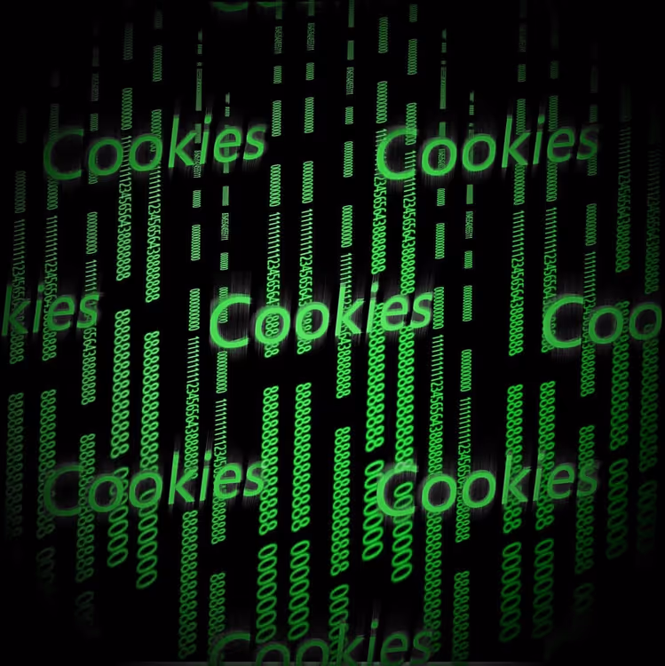 🚀 Domínio sem cookies no WordPress: guia completo de configuração