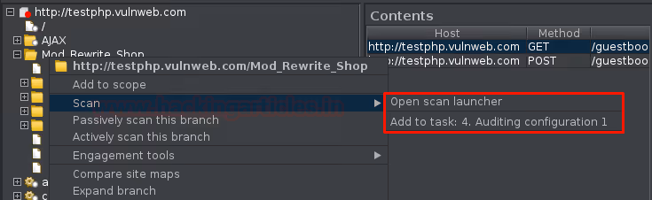 Deux options d'analyse dans le menu contextuel de l'URL après création du profil