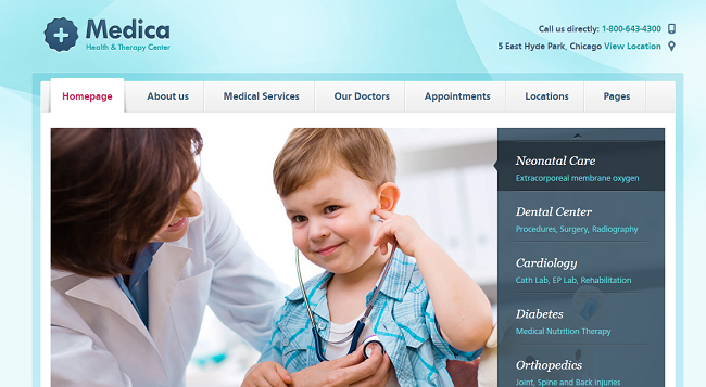 Интервью в магазине тем WordPress ThemeFuse