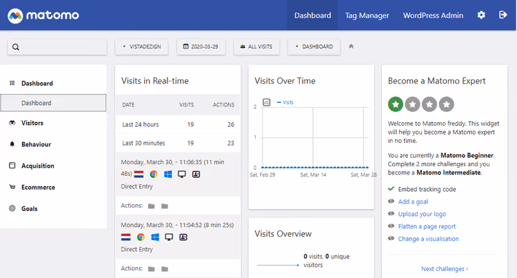 Raport odwiedzin w czasie rzeczywistym Matomo Analytics