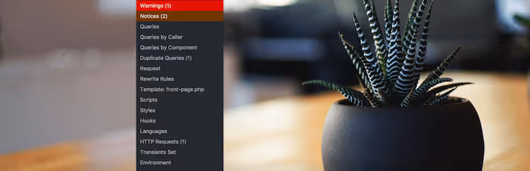 List of installed WordPress plugins in the admin panel
