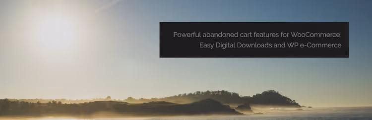 Estatísticas de recuperação do plugin Cart Recovery