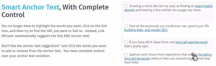 Configurações do texto âncora para links internos no Link Whisper