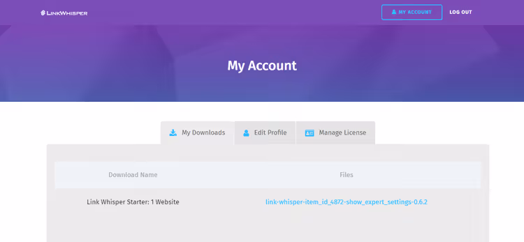 Painel da conta Link Whisper após a compra