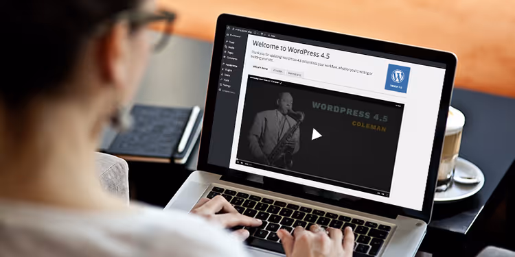 Tema Twenty Seventeen, cabeçalho de vídeo e parallax scrolling